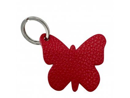buterfly (5)