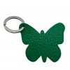 buterfly (7)